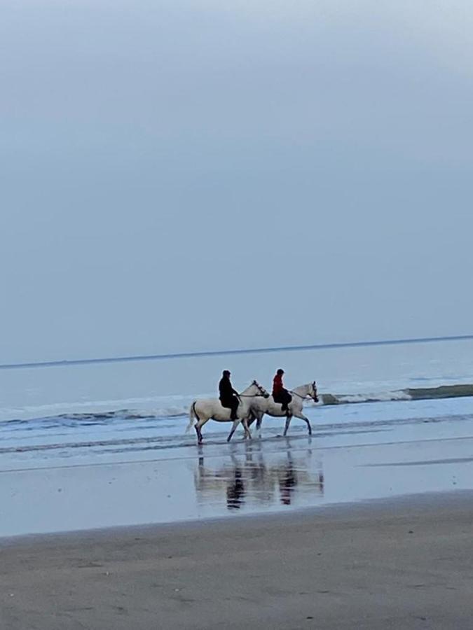 L'Escale A Deauville Dış mekan fotoğraf