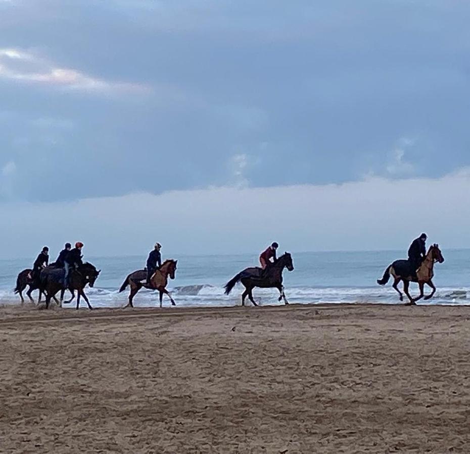 L'Escale A Deauville Dış mekan fotoğraf